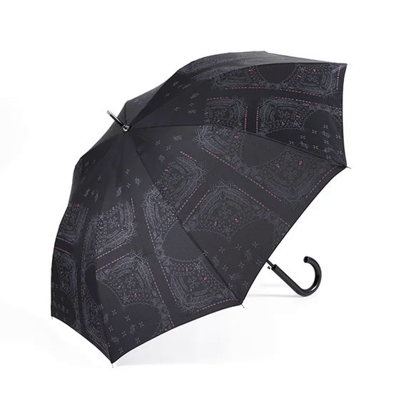 File:Umbrella (Kairi) 04 SuperGroupies.png