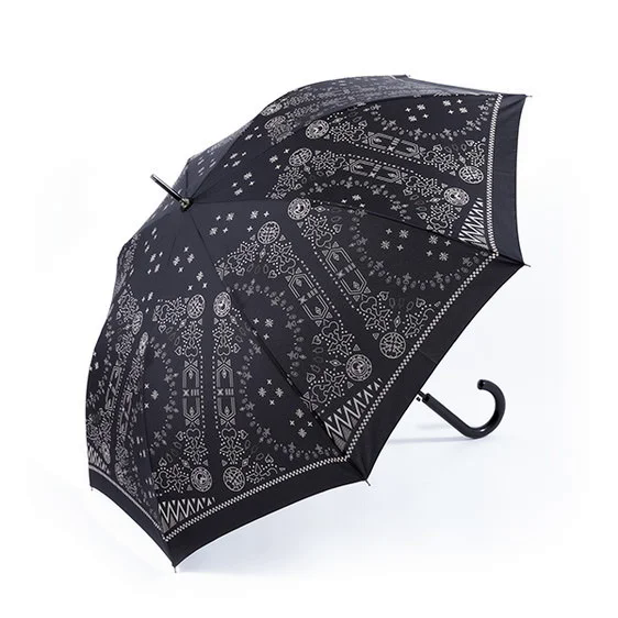File:Umbrella (Roxas) 04 SuperGroupies.png