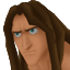 Tarzan's journal portrait in Kingdom Hearts.