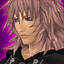 An unused version of Marluxia's journal portrait in Kingdom Hearts Re:Chain of Memories.