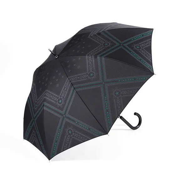 File:Umbrella (Ventus) 04 SuperGroupies.png