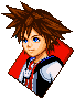 Template TSS Kingdom Hearts Wiki, the Kingdom Hearts encyclopedia