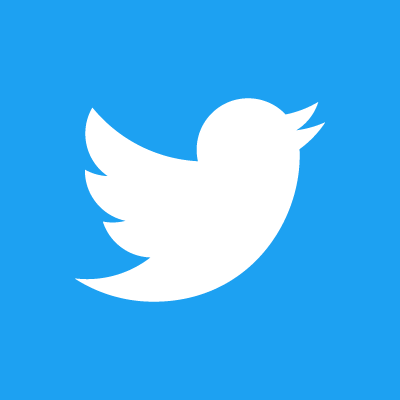 File:Twitter icon.png