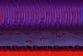 The background sprite for the Ursula fight