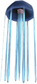 Jellyfish [KH II]