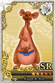 A Kanga and Roo SR+ Assist Card