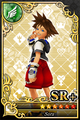 A Sora SR+ Speed Card
