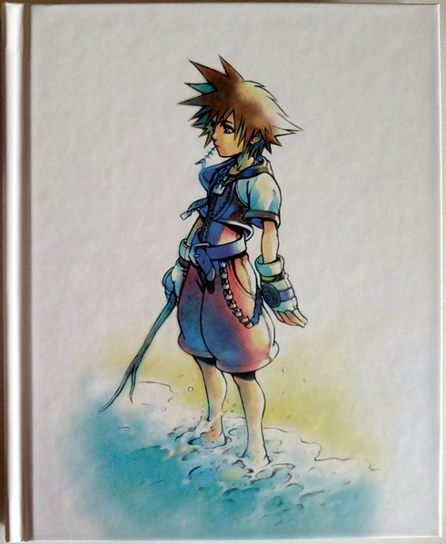 File:Kingdom Hearts HD 1.5 ReMIX Limited Edition Artbook.png
