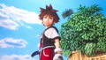 Sora's 14-year-old self from the opening scene.