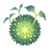 The Luminous Moss (ヒカリゴケ, Hikarigoke?) synthesis item gathered at Enchanted Dominion.