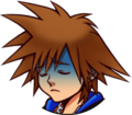 Sora's initial Dive Mode's sprite when he is in critical condition.