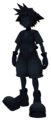 Shadow Sora