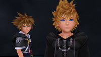 While Roxas Was Sleeping 01 KHII.png