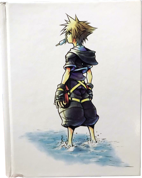 File:Kingdom Hearts HD 2.5 ReMIX Collector's Edition Artbook.png