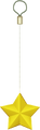 Naminé's star charm.
