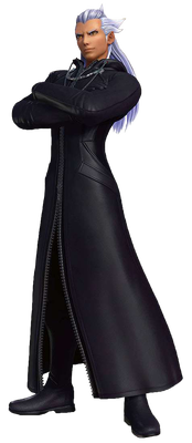 Ansem, Seeker of Darkness in a cloak