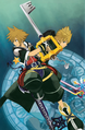 Sora and Roxas on the cover of the fourth volume of the Kingdom Hearts II novel.
