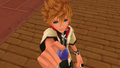 Sora briefly takes on Roxas's image during his next visit to Twilight Town