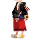 Summer Mickey set