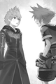 Sora and Roxas in an illustration from the first volume of the Kingdom Hearts 3D: Dream Drop Distance novel.