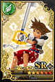 A Sora SR+ Speed Card