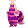 Cheshire Cat Set (Male) KHX.png