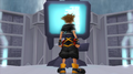 Sora at the Garden of Assemblage in the Cavern of Remembrance in Kingdom Hearts II Final Mix.