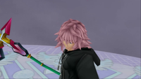 Marluxia's Absent Silhouette