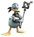 Donald Duck in his Pirates of the Caribbean form.