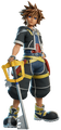 Sora