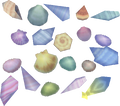 An assortment of seashells from the Destiny Islands.